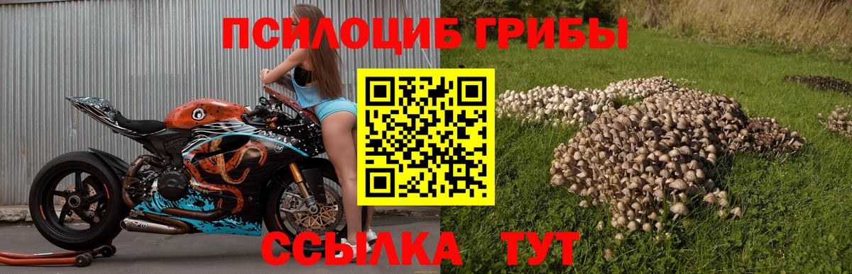 Псилоцибиновые грибы Magic Shrooms  Вход с VPN  Галлюциногенные грибы мицелий  Свободный 